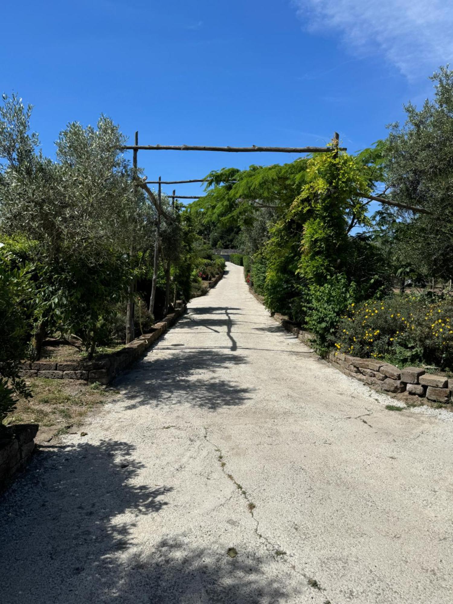 Agriturismo Piccolo Paradiso Piano di Sorrento Bagian luar foto