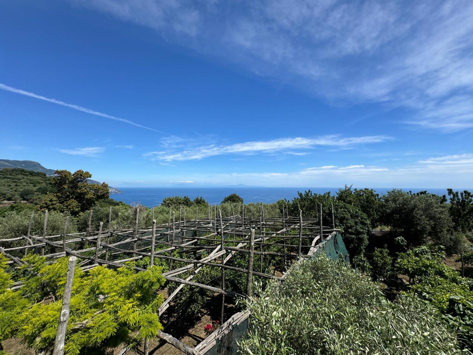Agriturismo Piccolo Paradiso Piano di Sorrento Bagian luar foto
