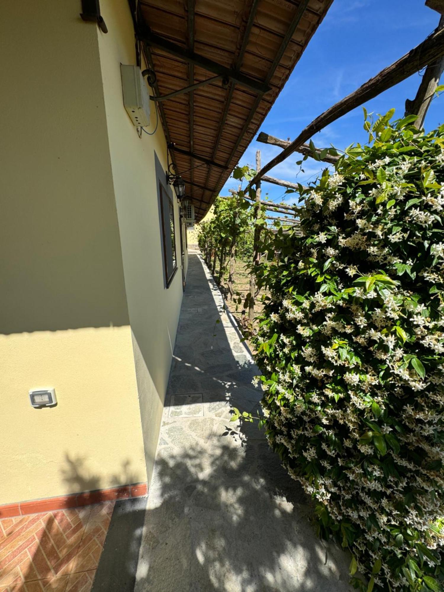Agriturismo Piccolo Paradiso Piano di Sorrento Bagian luar foto