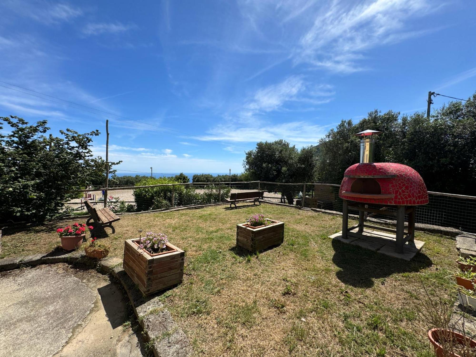 Agriturismo Piccolo Paradiso Piano di Sorrento Bagian luar foto