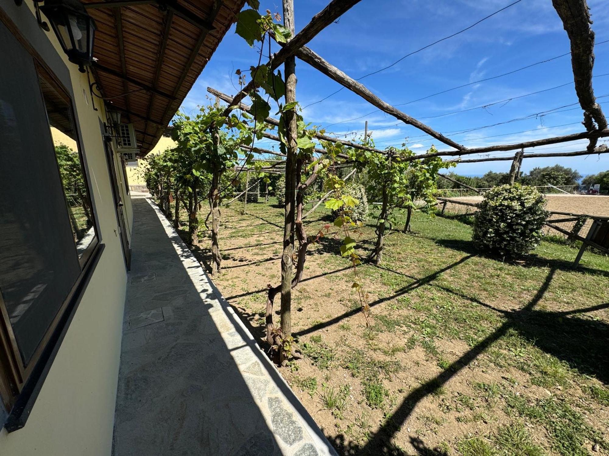 Agriturismo Piccolo Paradiso Piano di Sorrento Bagian luar foto