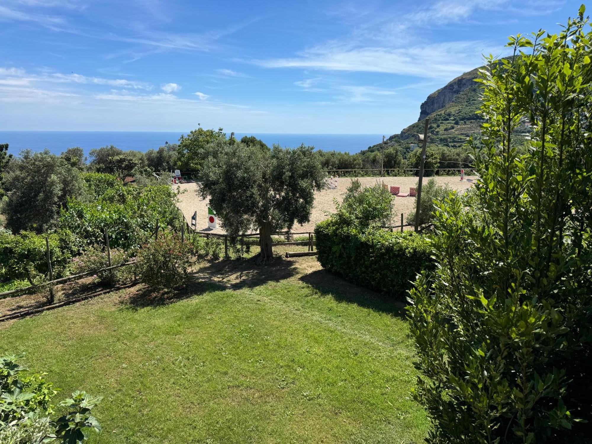 Agriturismo Piccolo Paradiso Piano di Sorrento Bagian luar foto