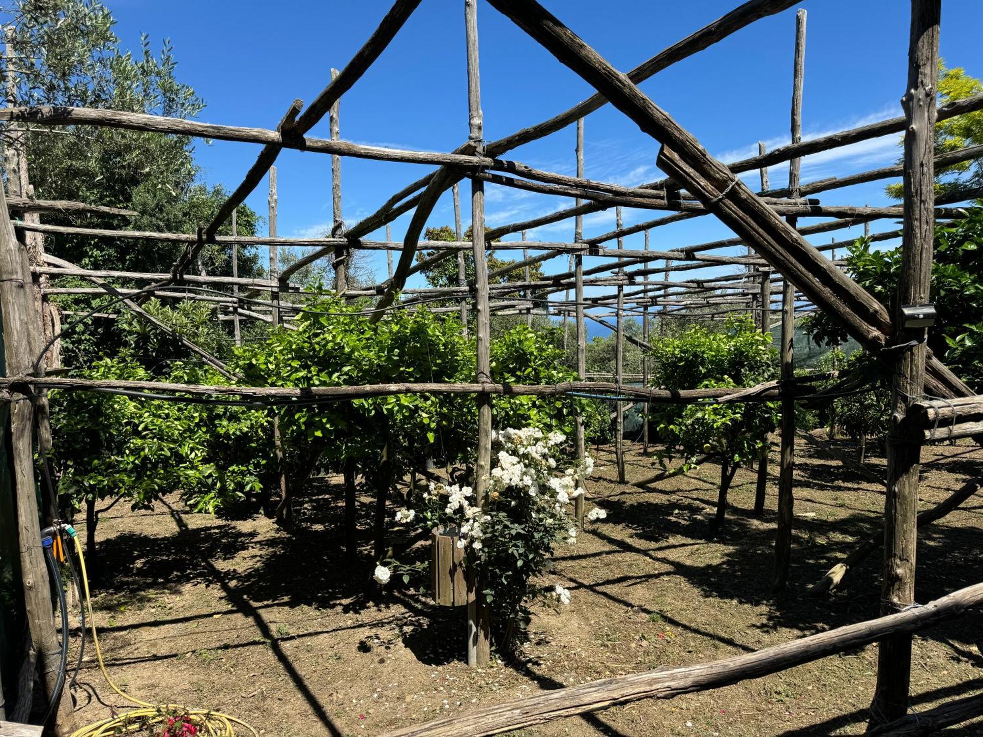 Agriturismo Piccolo Paradiso Piano di Sorrento Bagian luar foto