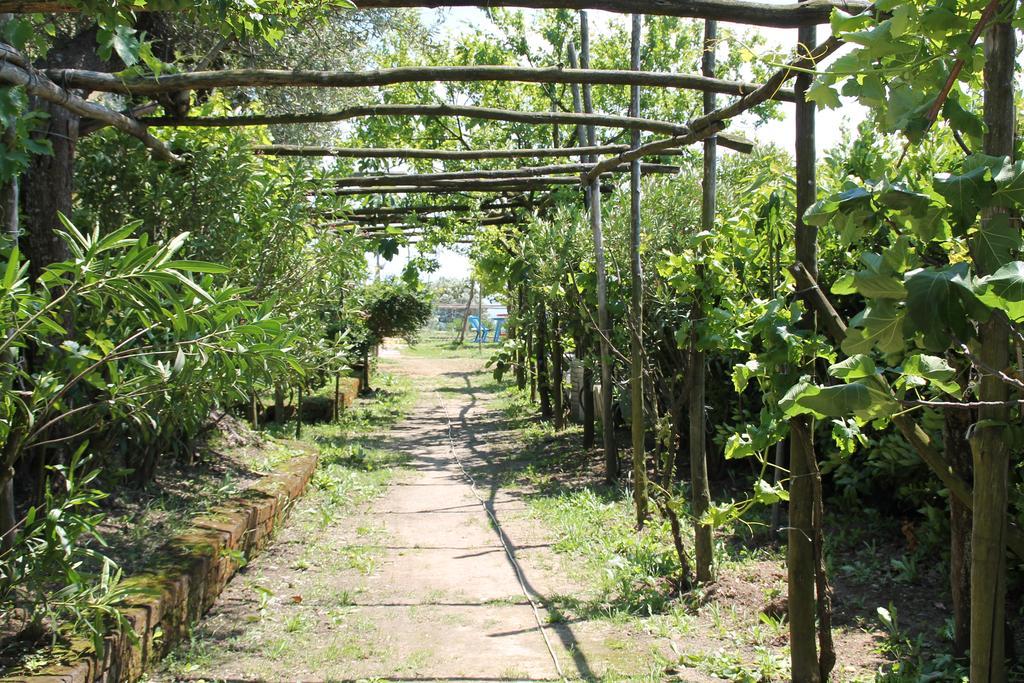 Agriturismo Piccolo Paradiso Piano di Sorrento Bagian luar foto