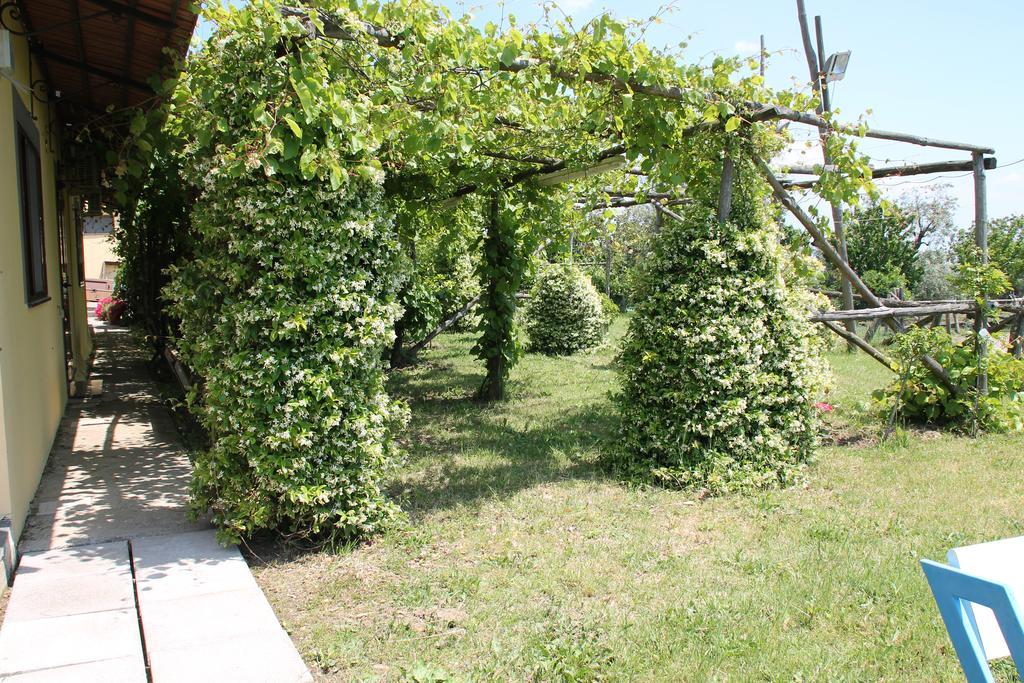 Agriturismo Piccolo Paradiso Piano di Sorrento Bagian luar foto