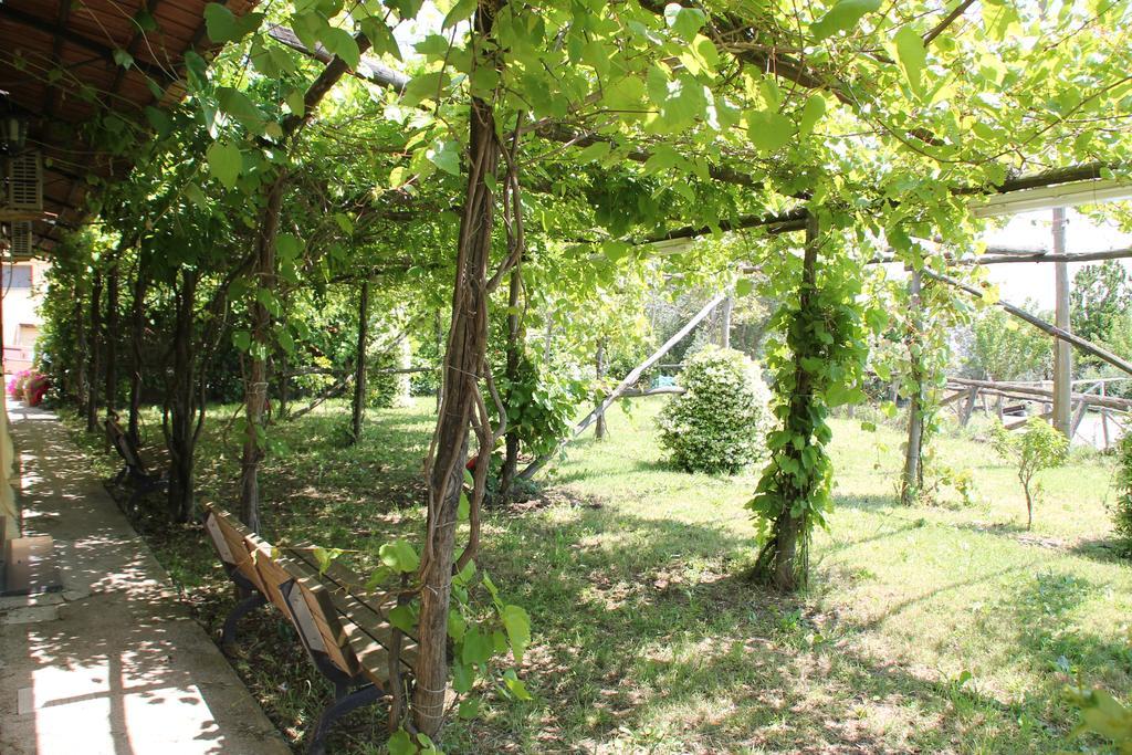 Agriturismo Piccolo Paradiso Piano di Sorrento Bagian luar foto