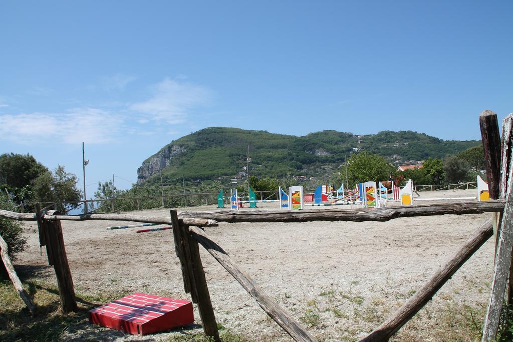 Agriturismo Piccolo Paradiso Piano di Sorrento Bagian luar foto