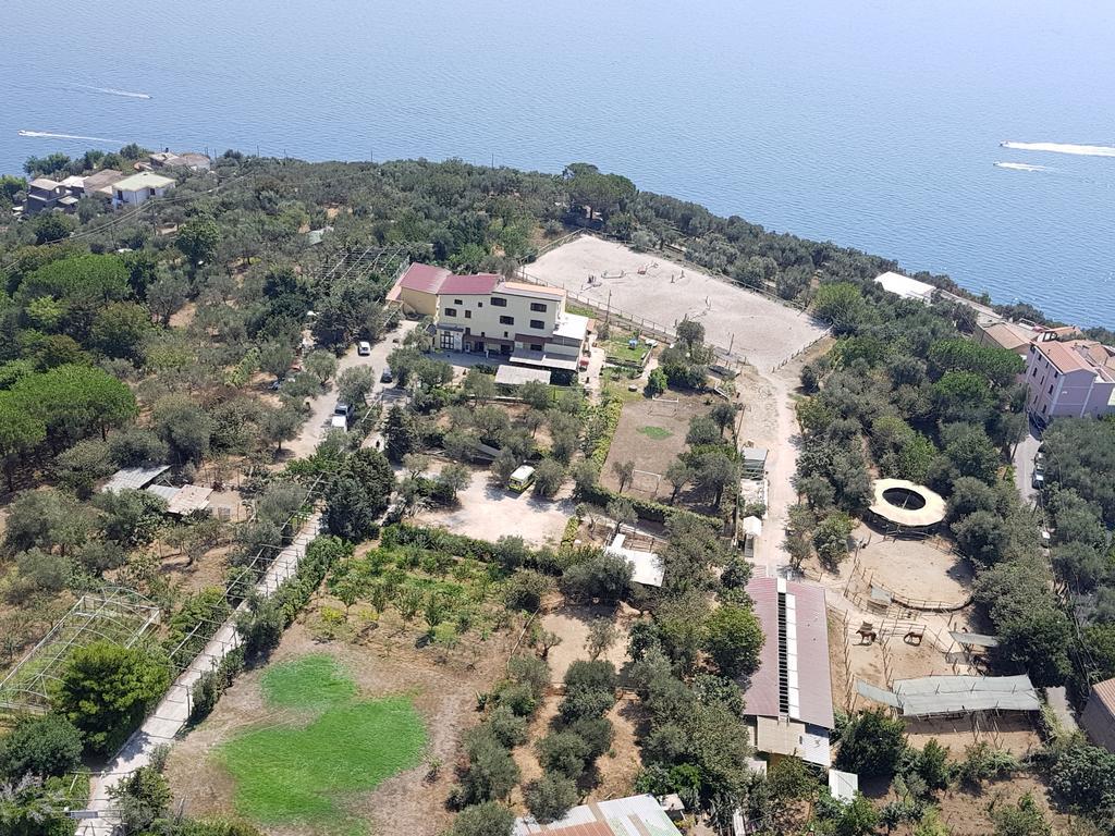 Agriturismo Piccolo Paradiso Piano di Sorrento Bagian luar foto