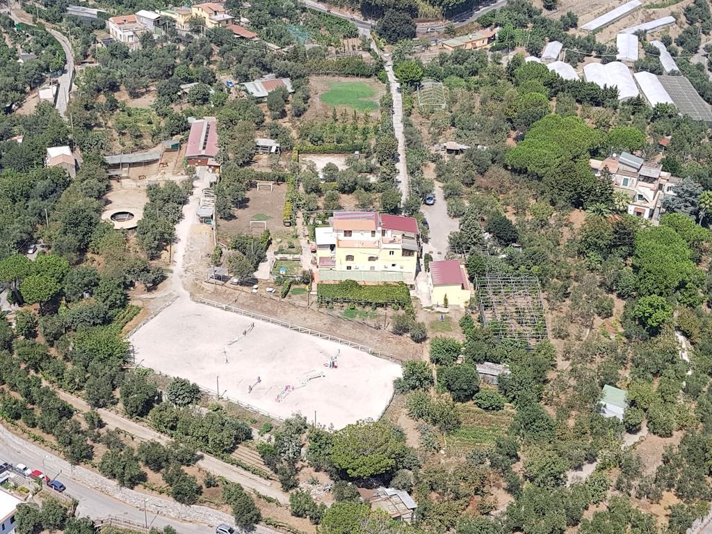 Agriturismo Piccolo Paradiso Piano di Sorrento Bagian luar foto