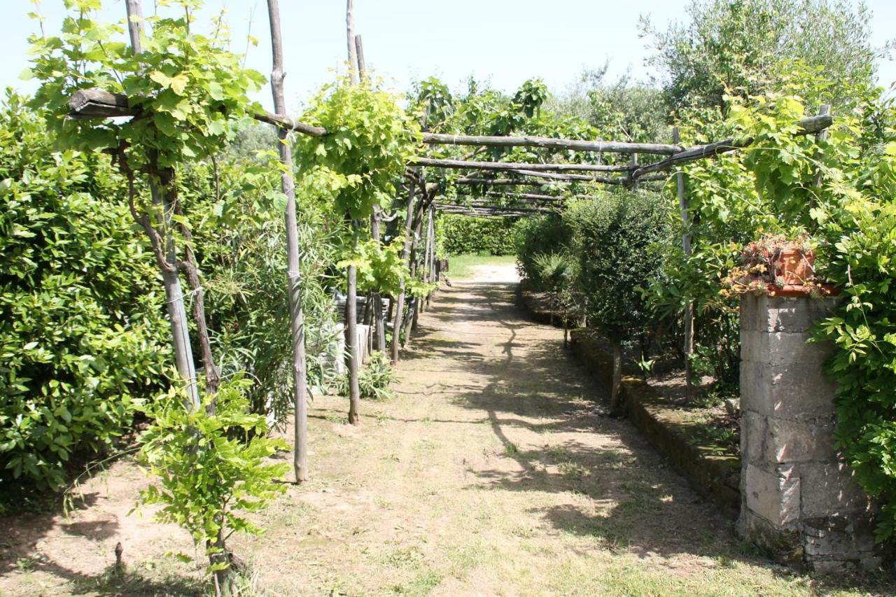 Agriturismo Piccolo Paradiso Piano di Sorrento Bagian luar foto